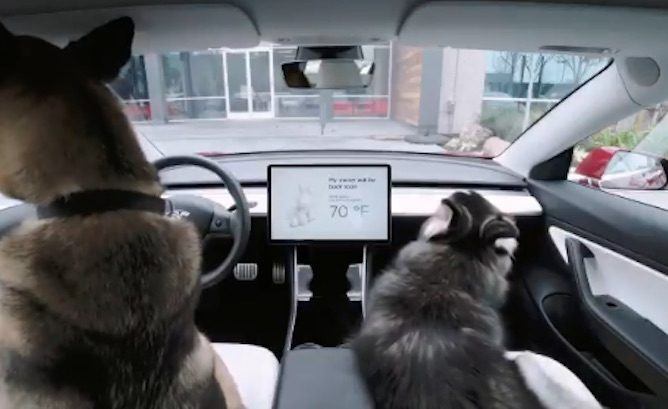 Tesla Now Has a Dog Mode to Keep Your Pets Cool