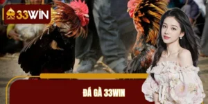 đá gà 33win